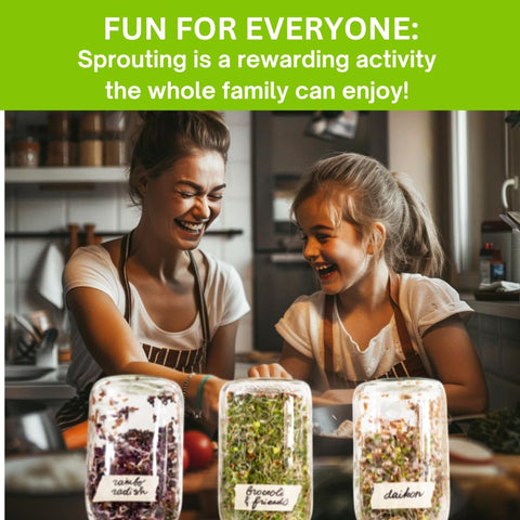ZestiGreens ready sprouts in a bowl elevate salads and breakfasts