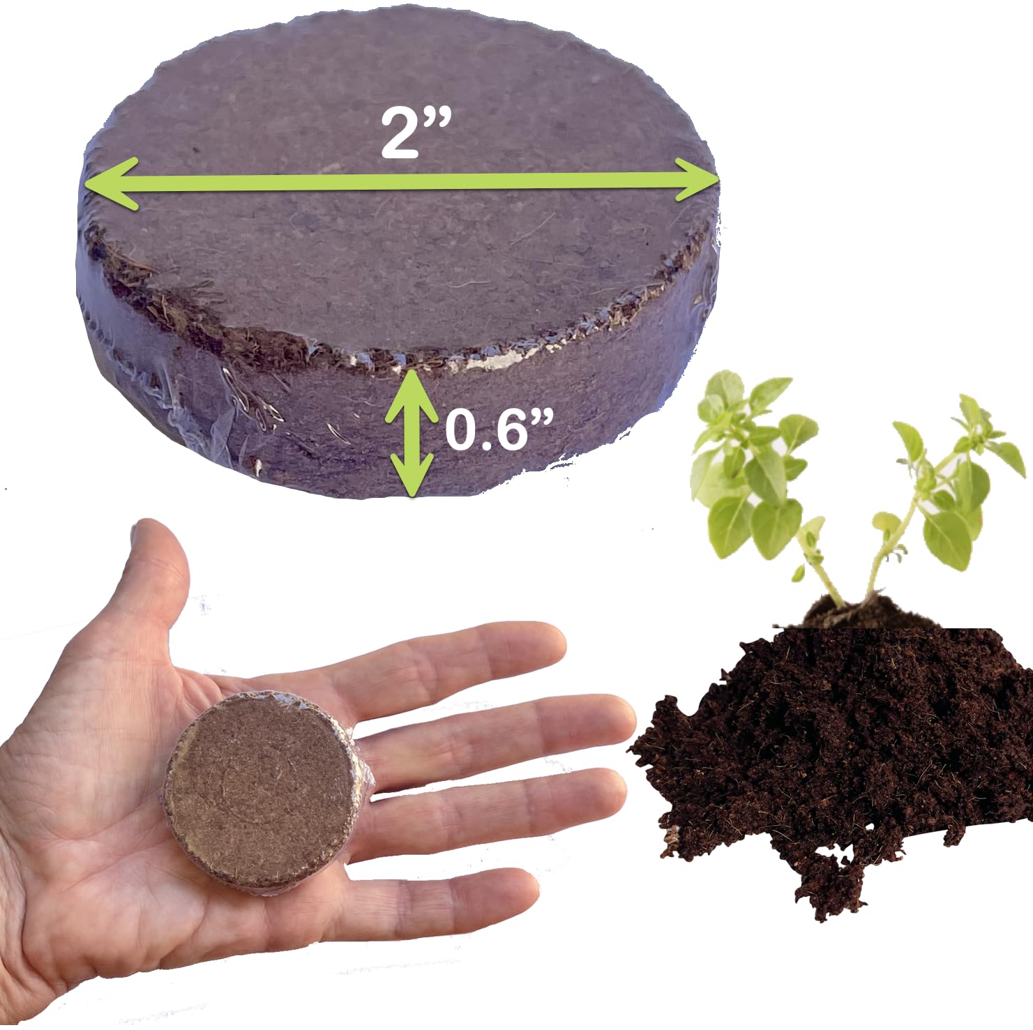ZESTIGREENS ready-to-use indoor plant grow medium