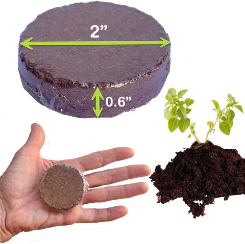 ZESTIGREENS ready-to-use indoor plant grow medium