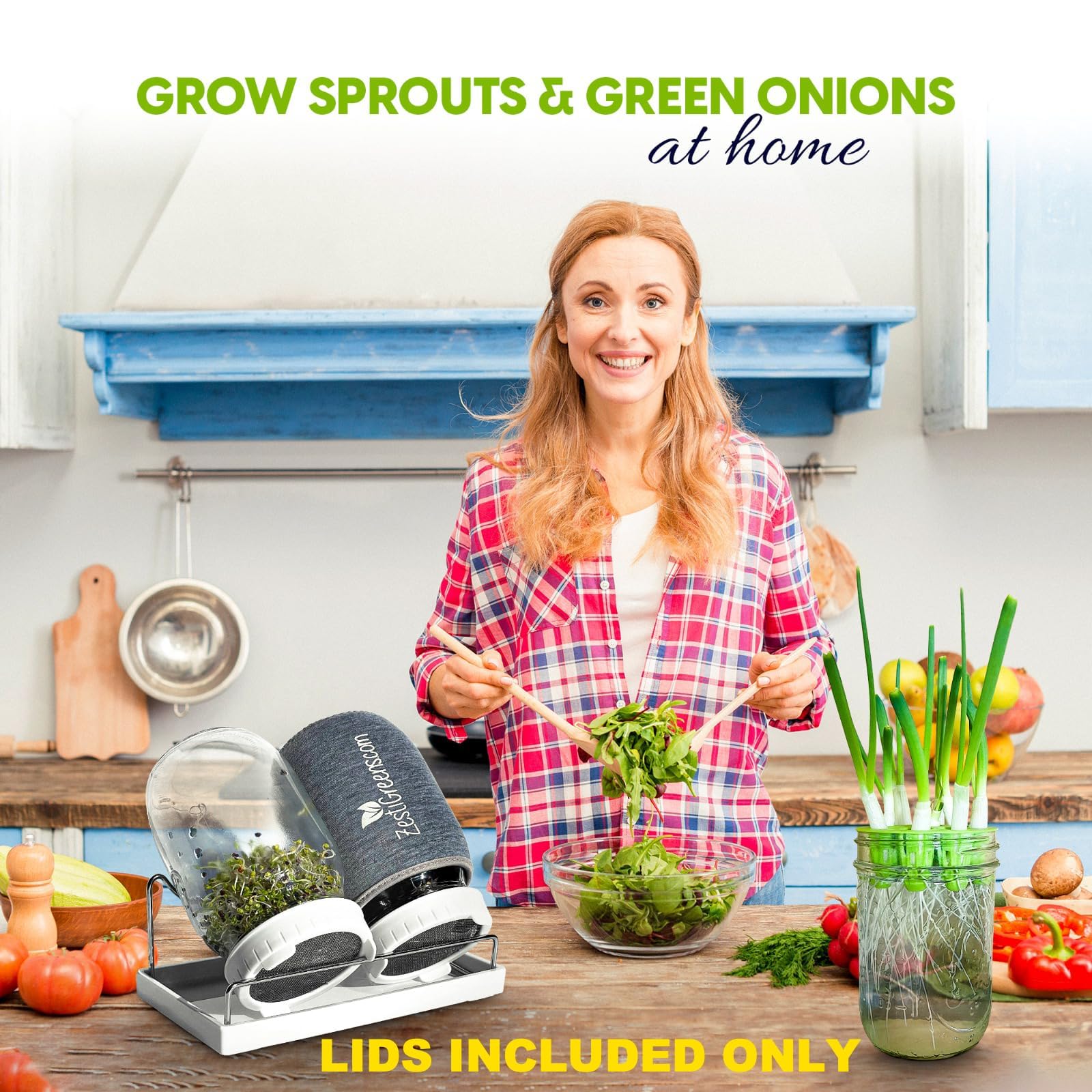 ZESTIGREENS seed sprouting action demonstrates broccoli, alfalfa, and radish sprouts.