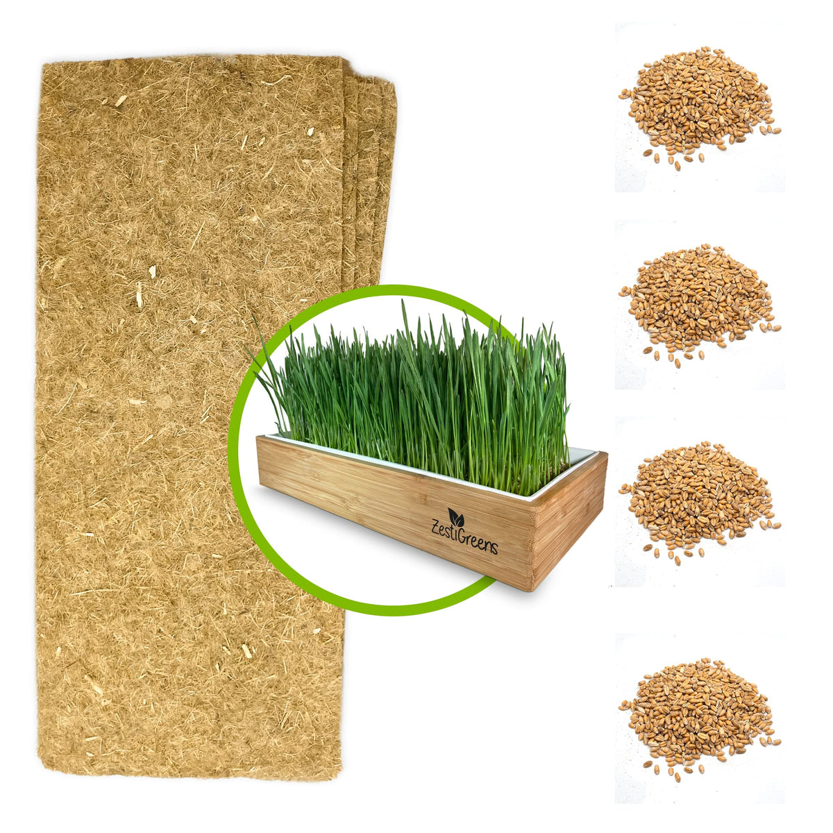 ZESTIGREENS self-watering mats for cat grass create easy, mess-free growth.