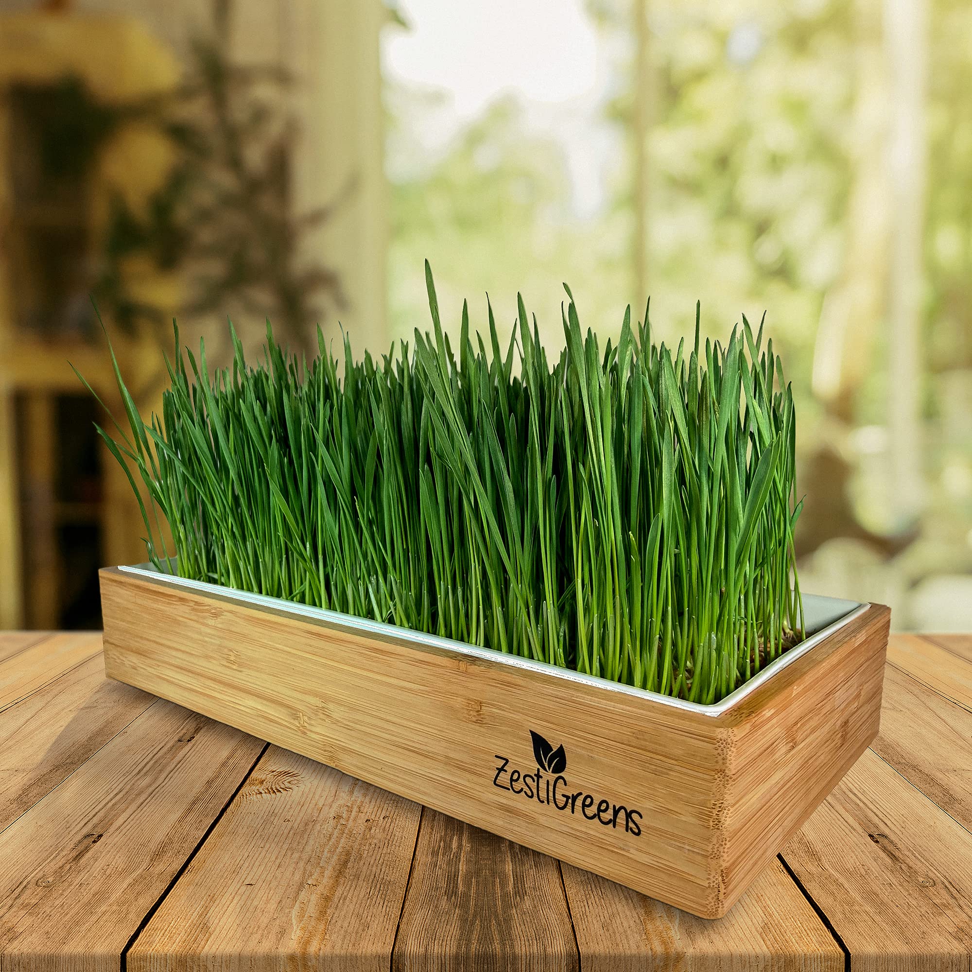 ZestiGreens self-watering system reduces daily maintenance and water misting