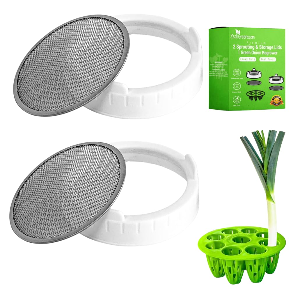 ZESTIGREENS sprouting lid on a wide-mouth jar enabling quick home sprouts.
