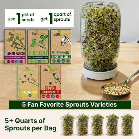 ZestiGreens alfalfa sprouts ideal for crisp sandwiches
