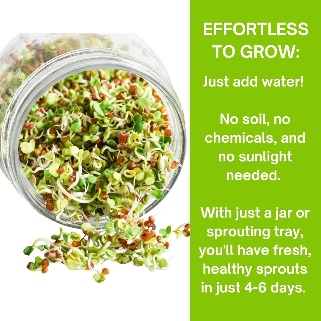 ZestiGreens daikon radish sprouts offer peppery bite in bowls