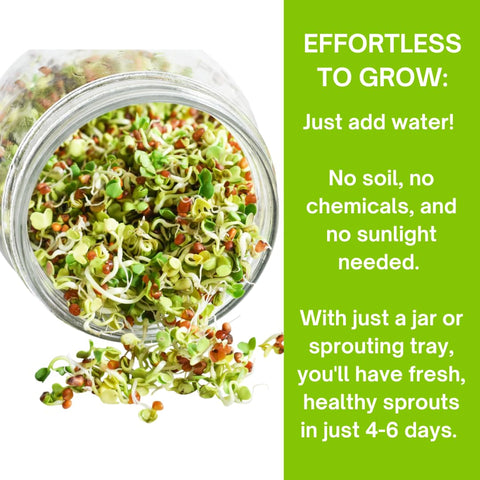ZestiGreens daikon radish sprouts offer peppery bite in bowls