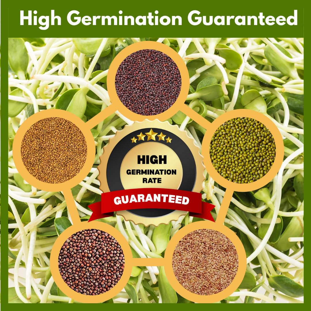 ZestiGreens mung bean sprouts add crunch to salads