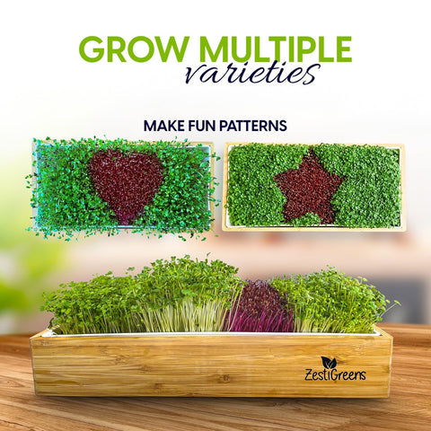 ZESTIGREENS Superfood Mix seeds add color and flavor