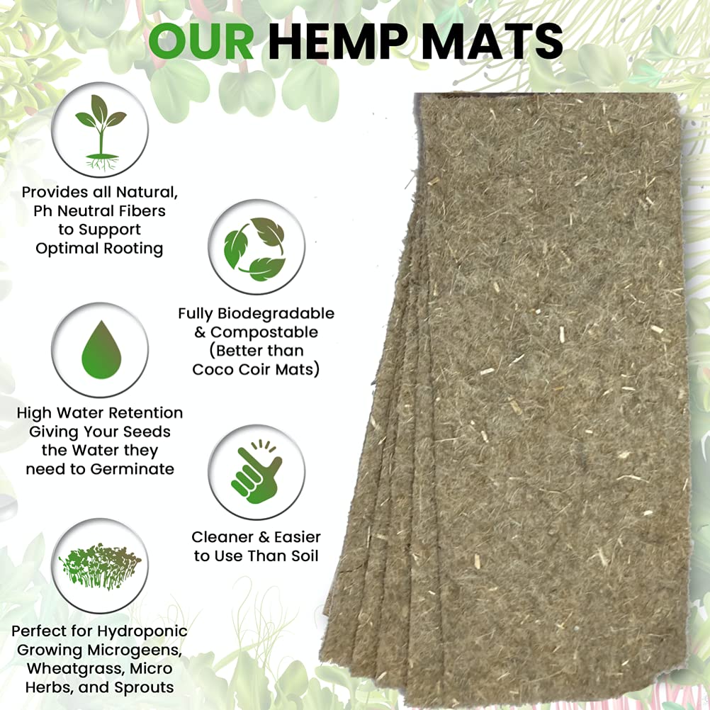 ZestiGreens wheatgrass seed packets offering high germination for quick harvests