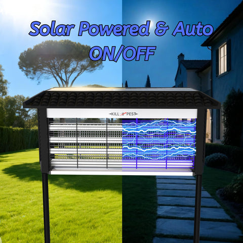ZETAWALE dual charging via solar or DC fast charging