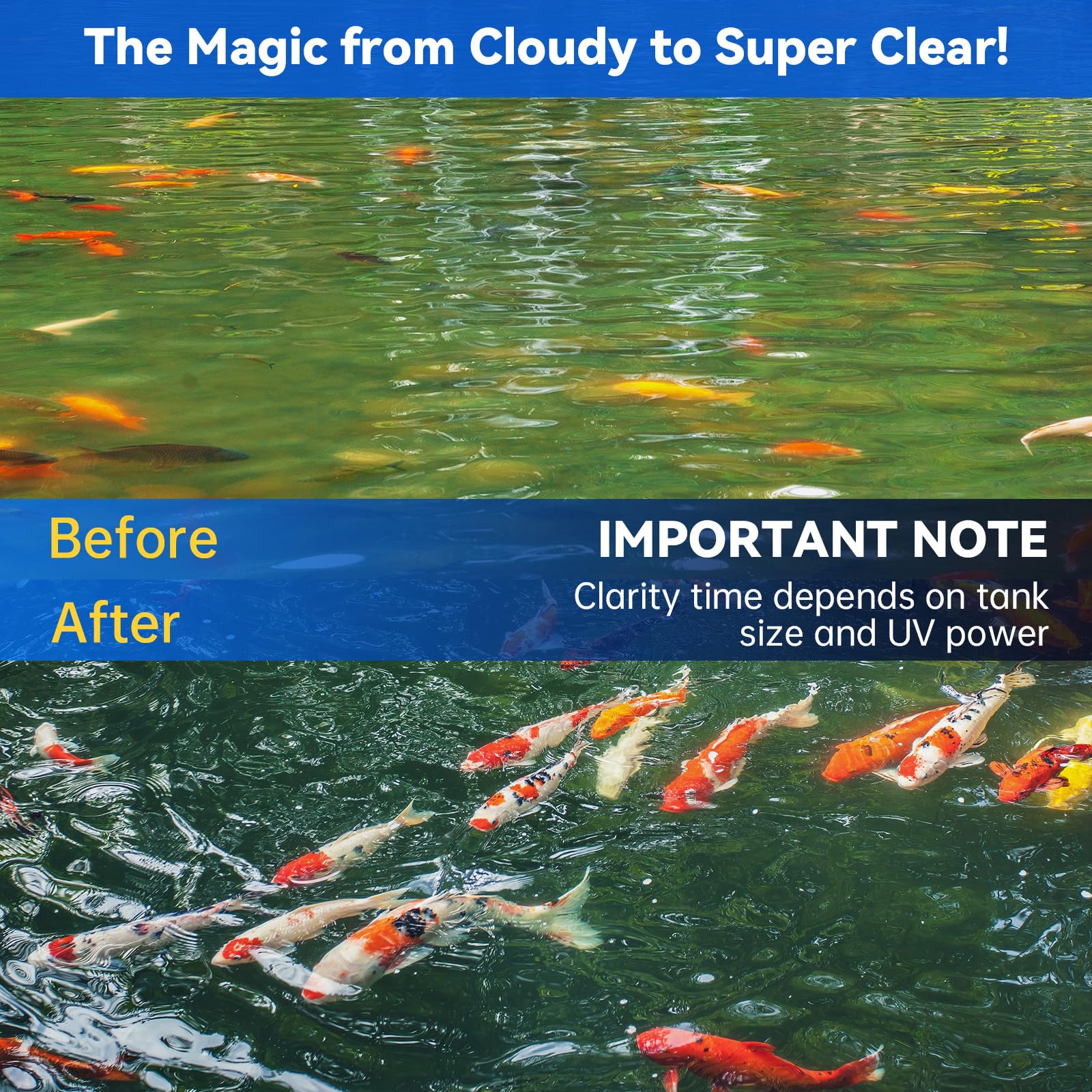 ZETAWALE submersible UV light in koi pond improving clarity