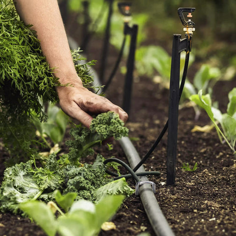 Hammering Zevlux stakes to anchor irrigation hose connections.