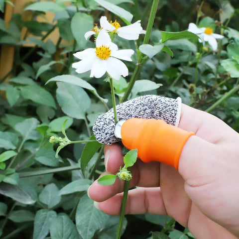 ZGYFJCH Packaging shows two thumb knives and sleeves for handy storage.