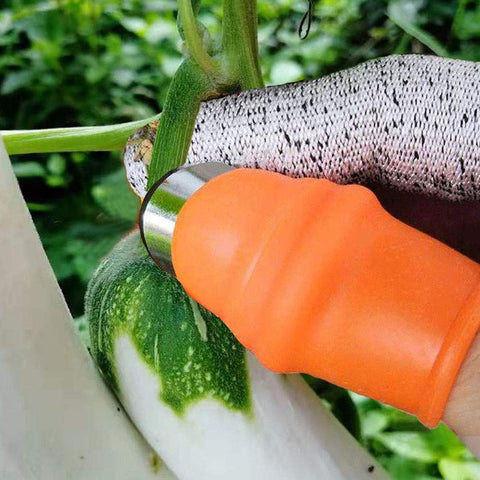 ZGYFJCH tool used for pruning cucumber, tomato, grape.