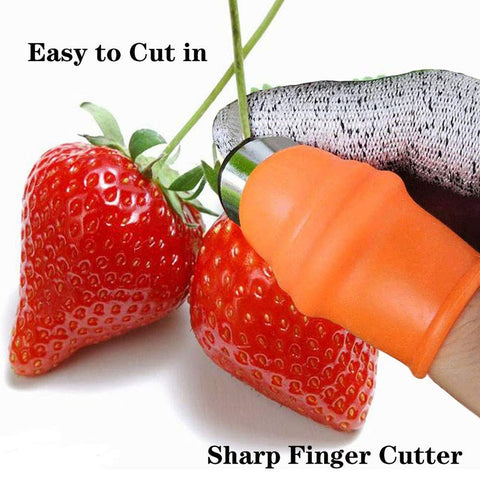 ZGYFJCH Garden Knife used for vegetables enables quick one-handed harvest.