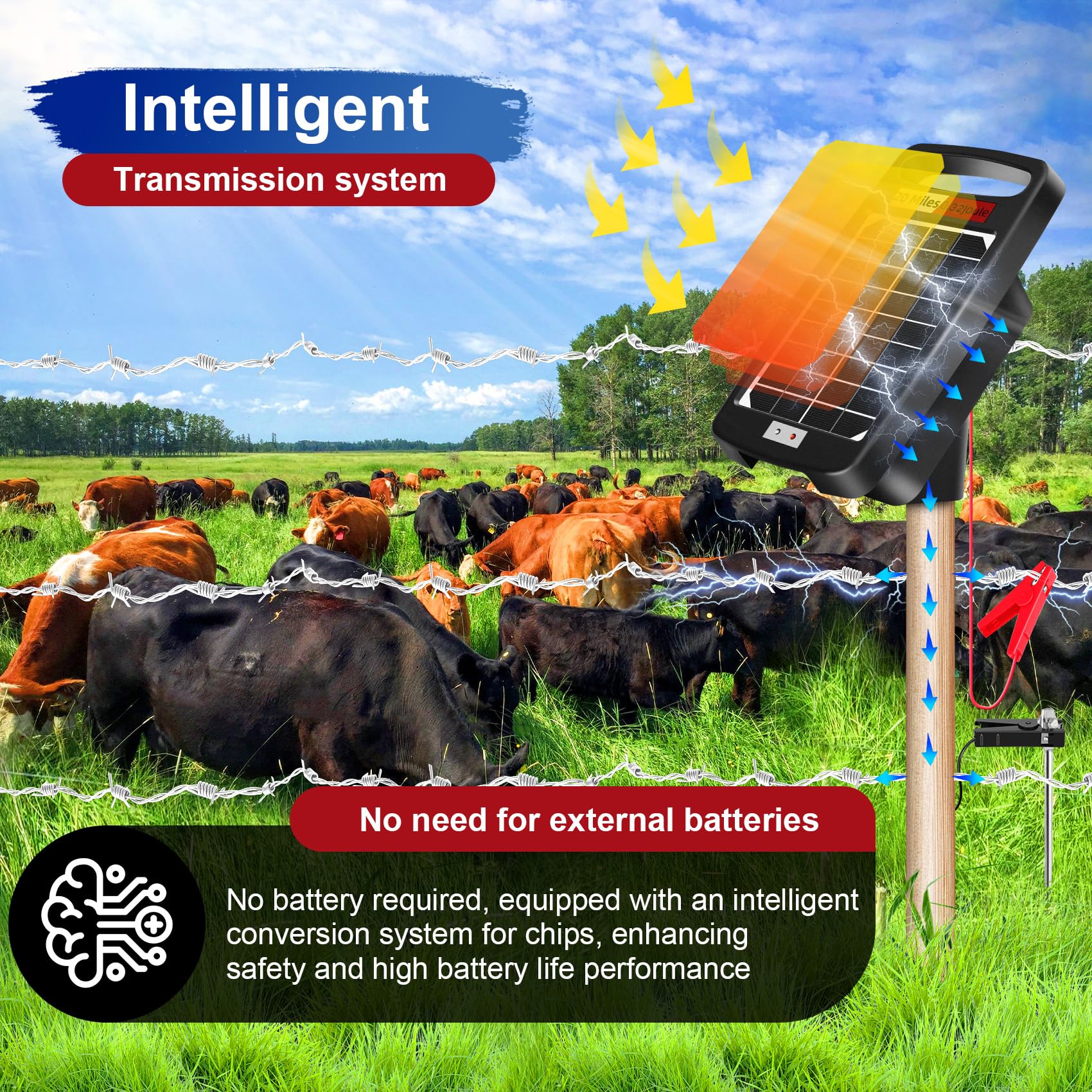 Zhangmengge upgraded solar panel close-up showing thicker, larger cells for efficient energy capture.