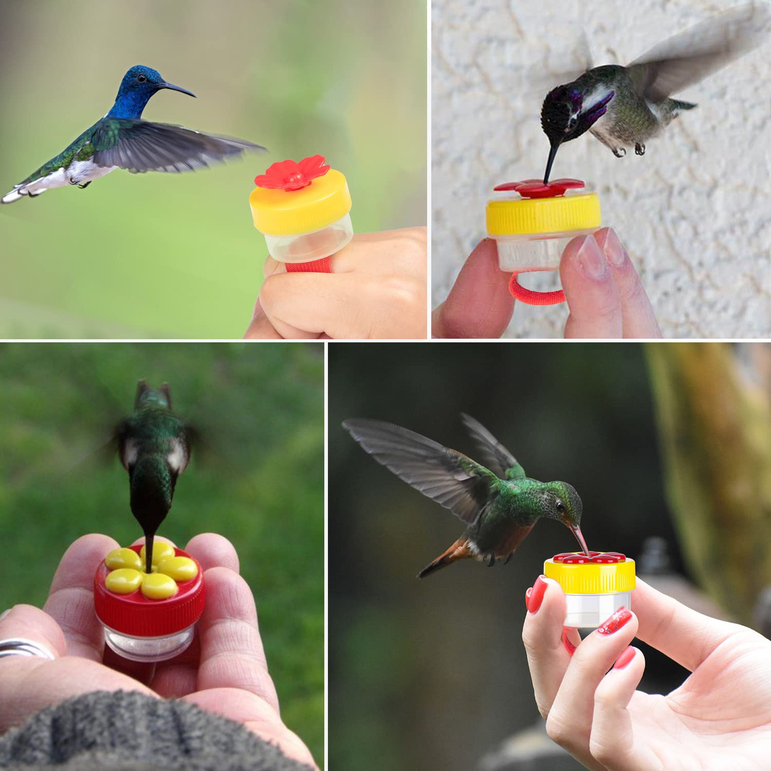 ZHBDMGK gift-pack set ideal for bird lovers and thoughtful gifts