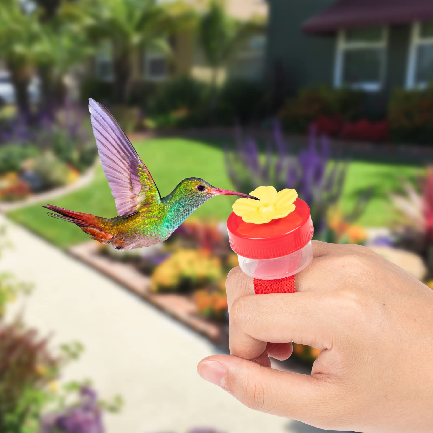 ZHBDMGK outdoor-scene setup attracting wild birds in nature