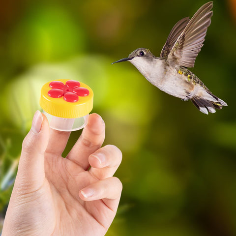 ZHBDMGK window-use hummingbird feeder brings birds close to your view