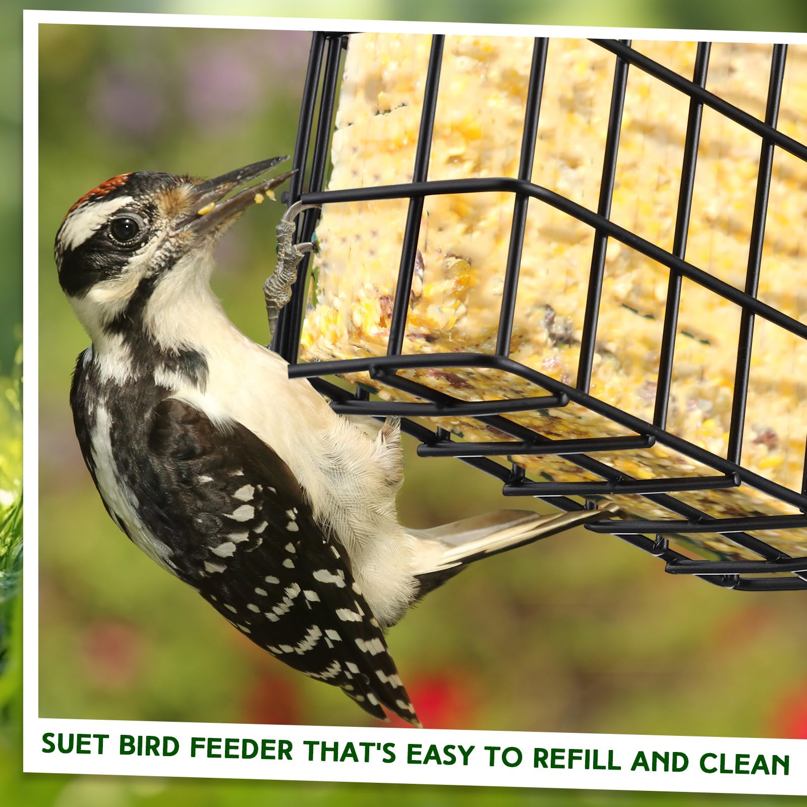 Zhehao black garden feeder adds modern style to your yard while inviting birds