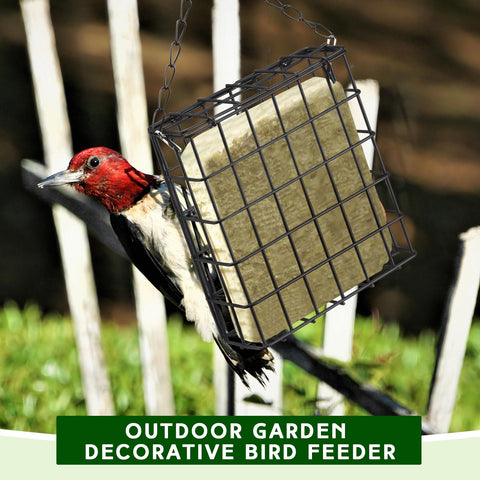 Zhehao squirrel-resistant design helps reduce competition at your feeder