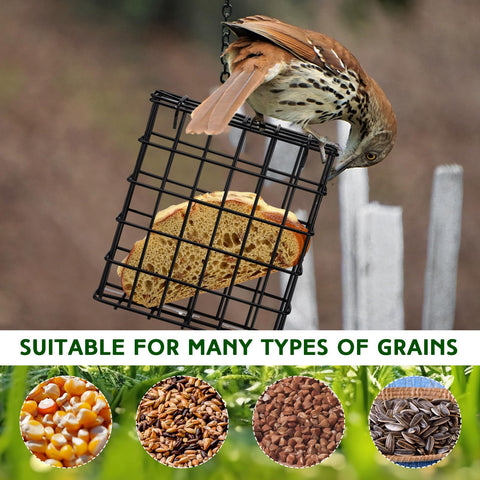Zhehao open housing promotes airflow to keep feed fresh for birds