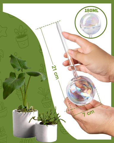 ZhenD iridescent globe for hanging plants delivering hands-free care and color.