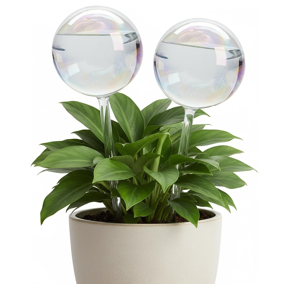 ZhenD iridescent self-watering globe for indoors provides steady hydration and decorative light.