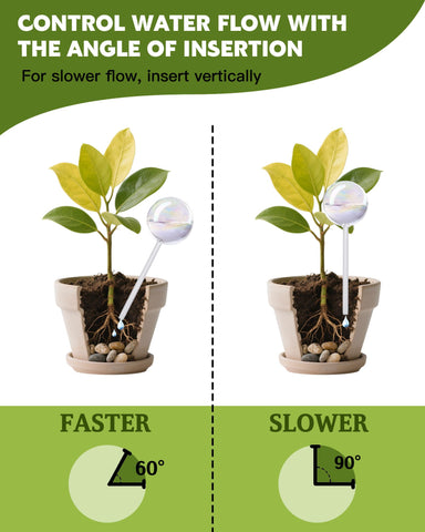 ZhenD glass watering globes in sunlight for outdoor plants with rainbow shimmer.