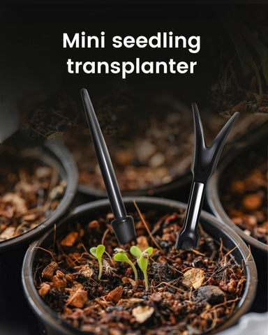 ZhenD multi-purpose sowing tool used in pots or beds.