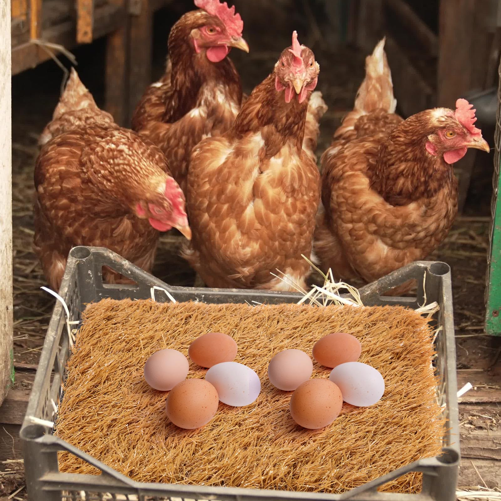 Zhengmy soft mat provides comfortable nesting for small pets