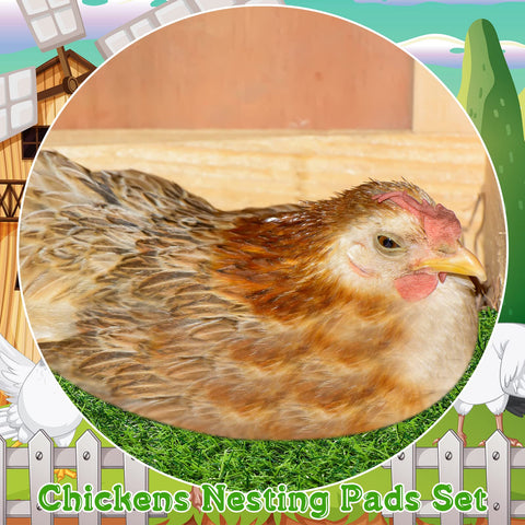 Zhengmy nesting pads are easy to rinse and reuse for ongoing coop hygiene.