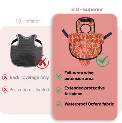 ZHENYOUBML hen saddle with back protector and adjustable strap