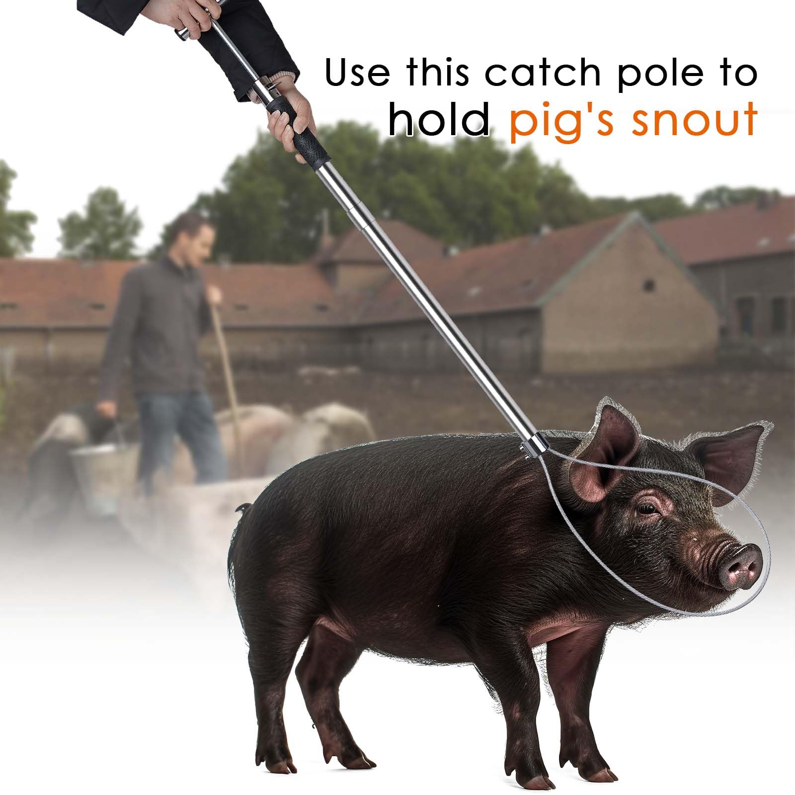 ZHEQOGZH dog catcher pole 30in rod length provides reach.