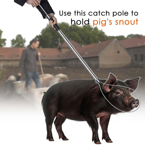 ZHEQOGZH dog catcher pole 30in rod length provides reach.