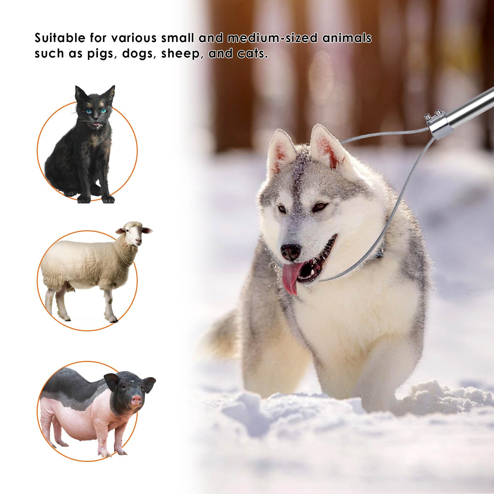 ZHEQOGZH dog catcher pole suitable for pigs, cats, and dogs.