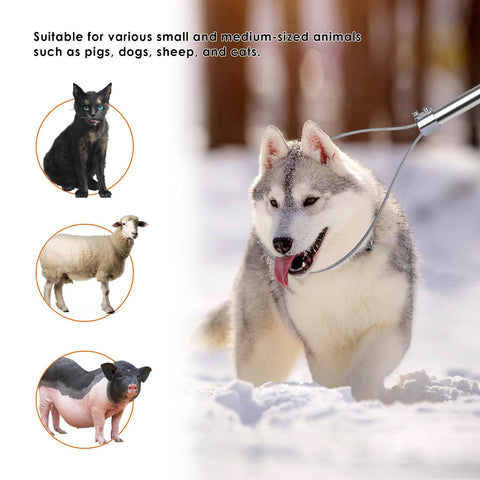 ZHEQOGZH dog catcher pole suitable for pigs, cats, and dogs.