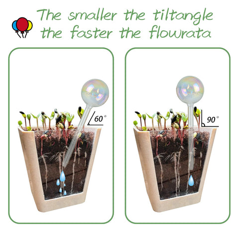 zHzHGuo multiple-globe setup for larger plants outdoors.