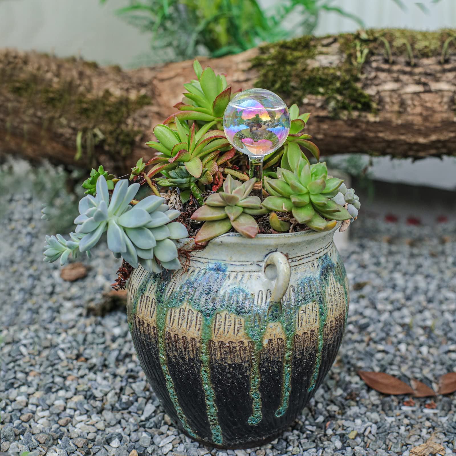 zHzHGuo glass watering globes set, a thoughtful gardening gift.