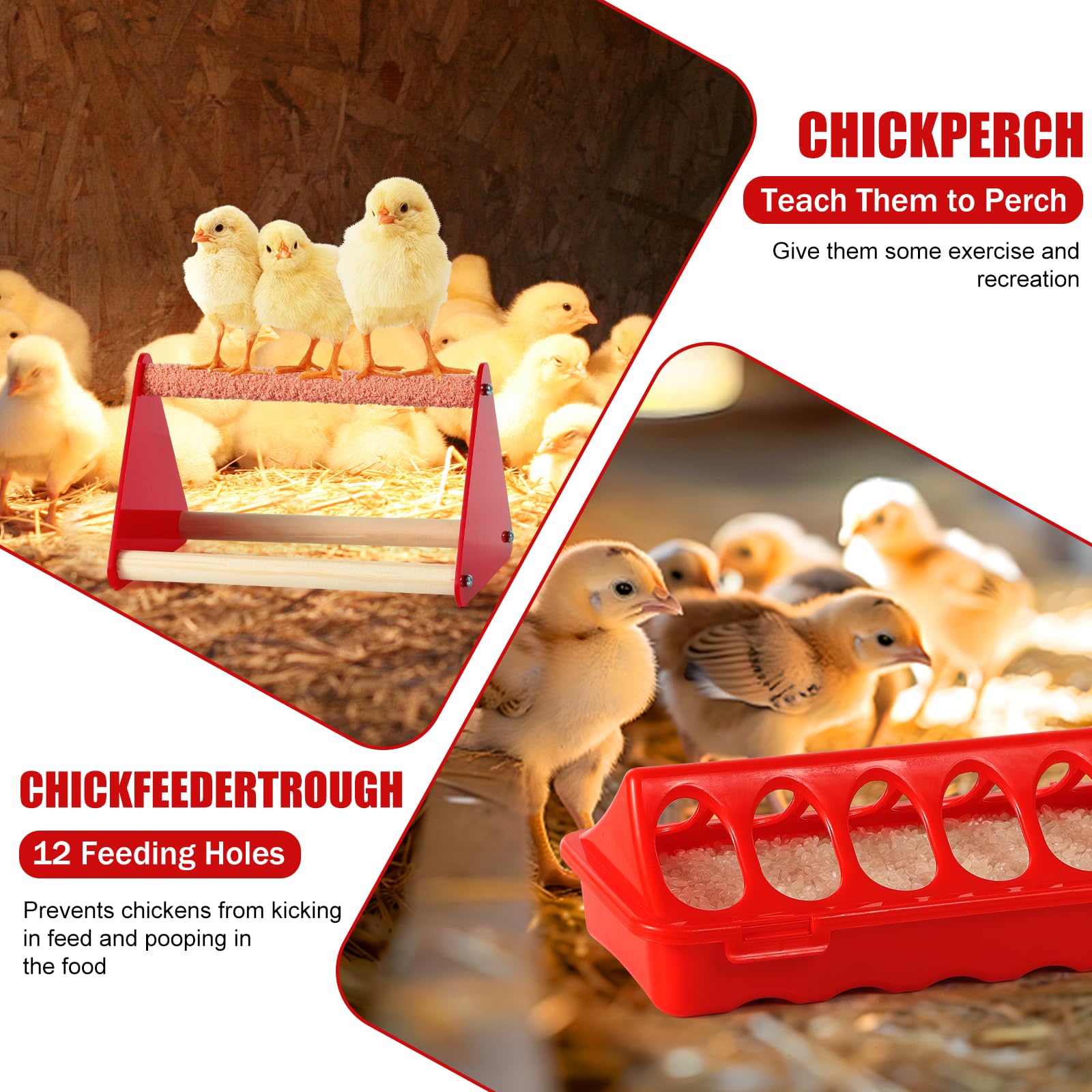 ZhiYueOnePets automatic chicken waterer reduces spills and waste