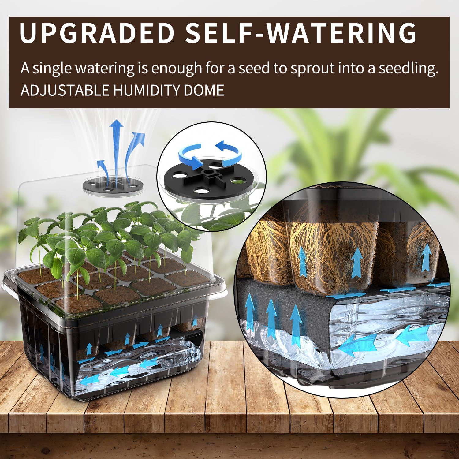 ZHOLAH 60-cell seedling tray supports starting many seeds efficiently in a compact grid.
