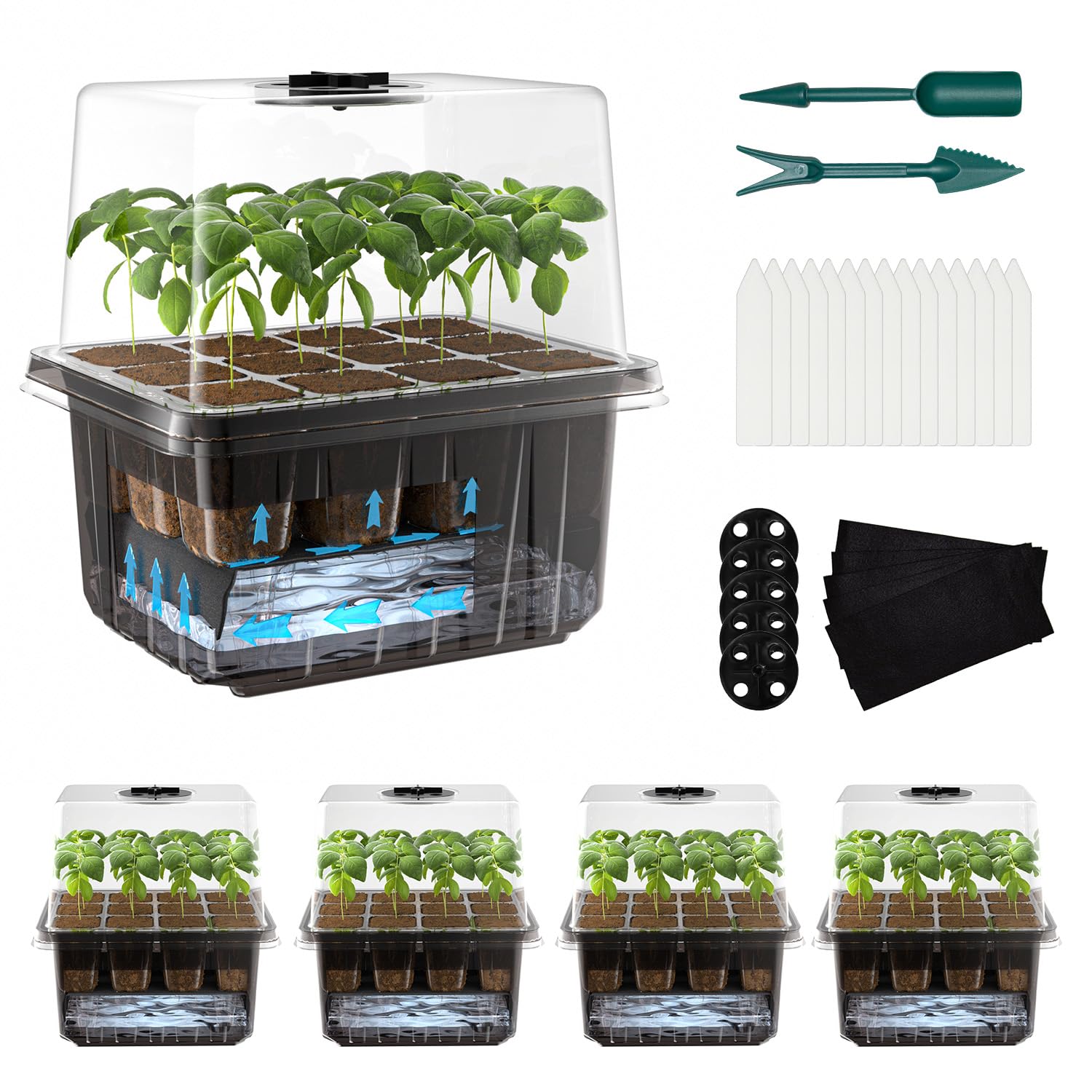 ZHOLAH self-watering seed starter trays with dome for effortless moisture control and steady sprouting.