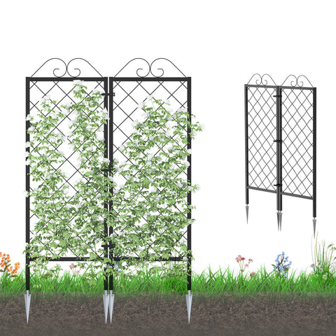 Zhongma two-pack garden trellis front view supports climbing plants