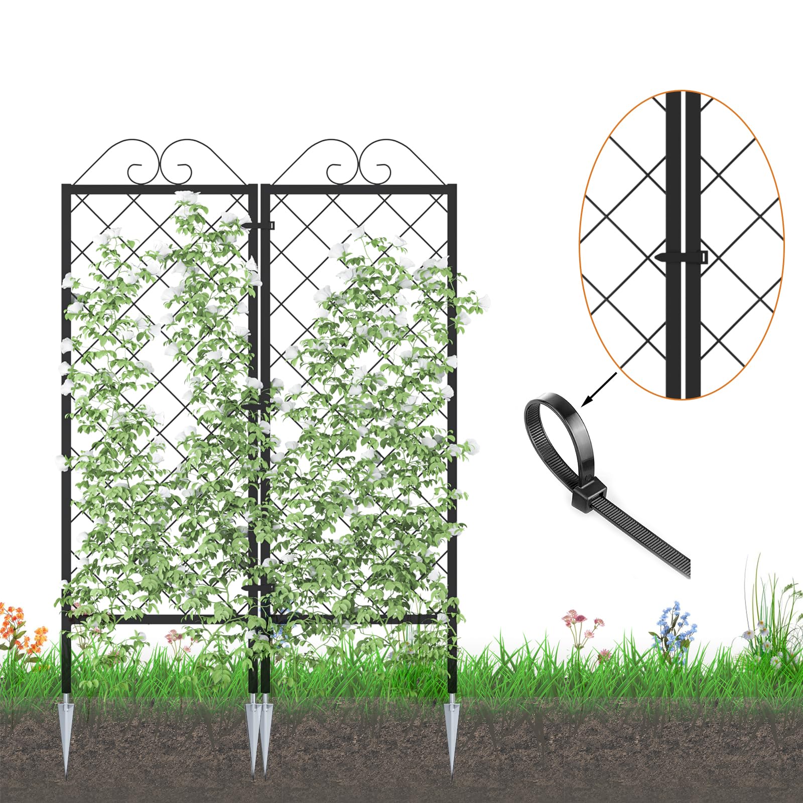 Zhongma trellis 53.5-inch height side view ideal for vertical growth
