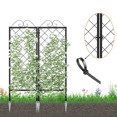 Zhongma trellis 53.5-inch height side view ideal for vertical growth