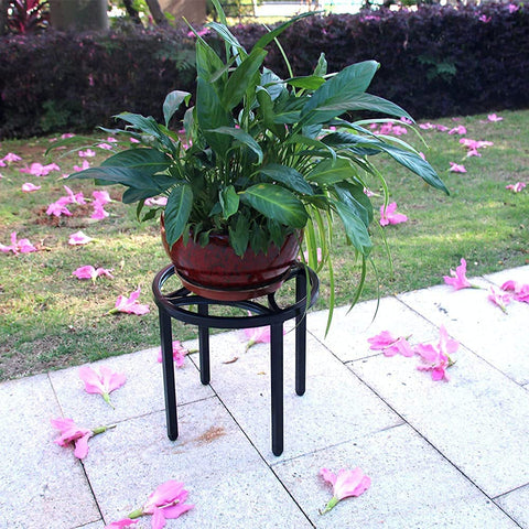 Zhongma small, medium, and large sizes enable staggered arrangements.