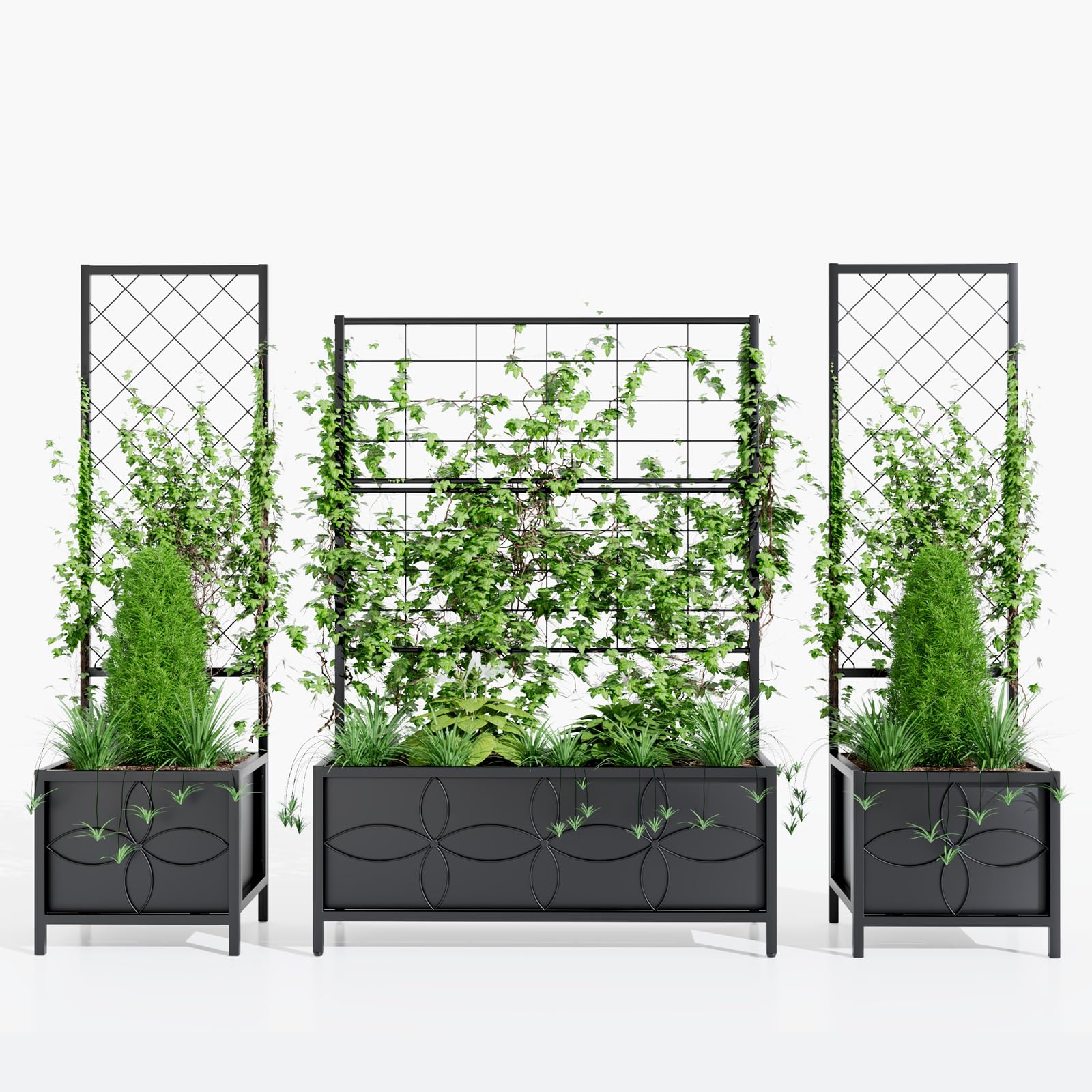 Zhongma soil capacity of 3 cubic feet supports root development.