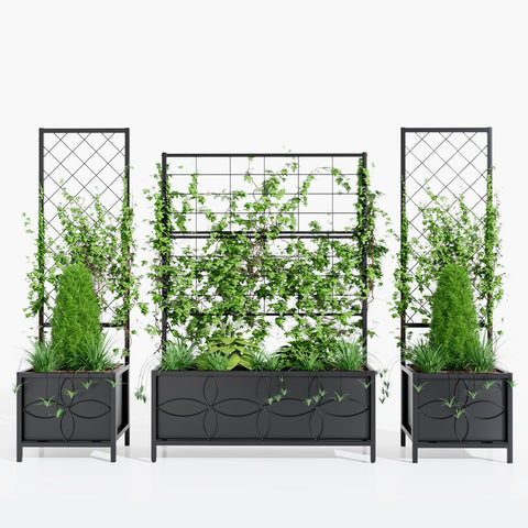 Zhongma soil capacity of 3 cubic feet supports root development.