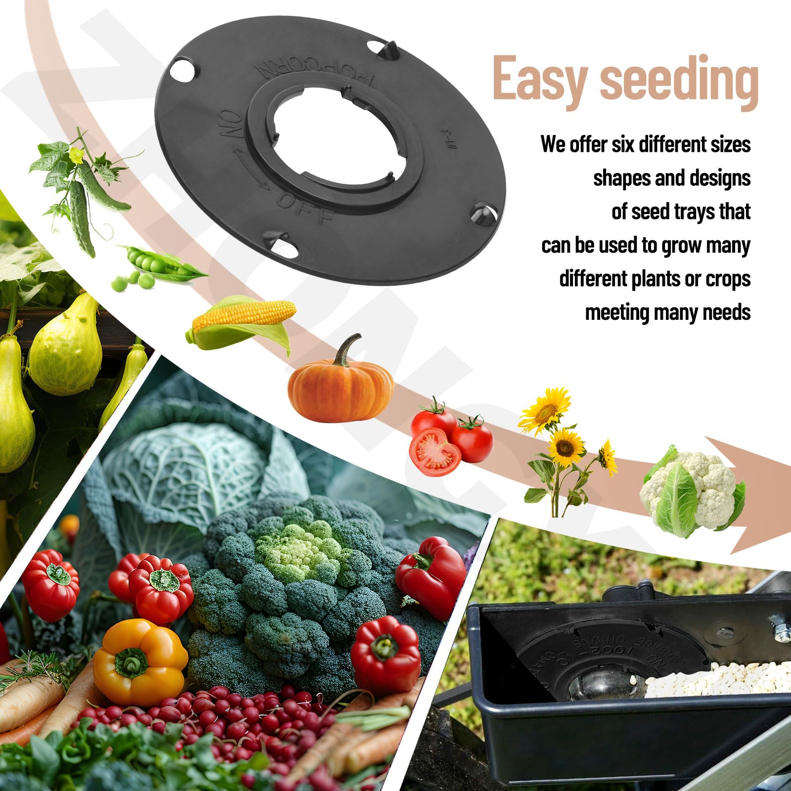 ZHONGXIA popcorn cucumber seed plate for uniform distribution.