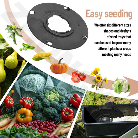 ZHONGXIA popcorn cucumber seed plate for uniform distribution.